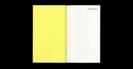 Serve and Volley is a Cologne-based graphic and interaction design studio by Klaus Neuburg and Simon Roth.