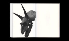 Serve and Volley is a Cologne-based graphic and interaction design studio by Klaus Neuburg and Simon Roth.